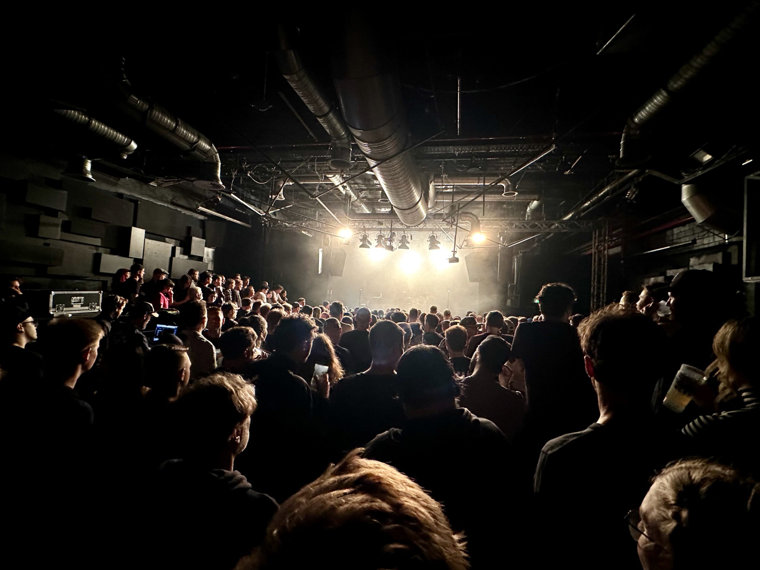 New Found Glory Übel & Gefährlich