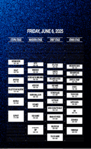 Timetable Rock im Park 2025 Freitag