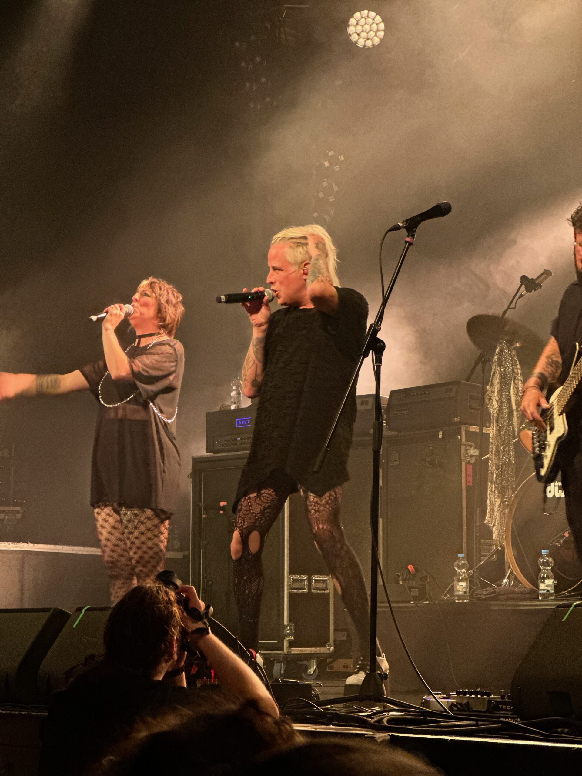 Reconstruction Tour - The Iron Roses