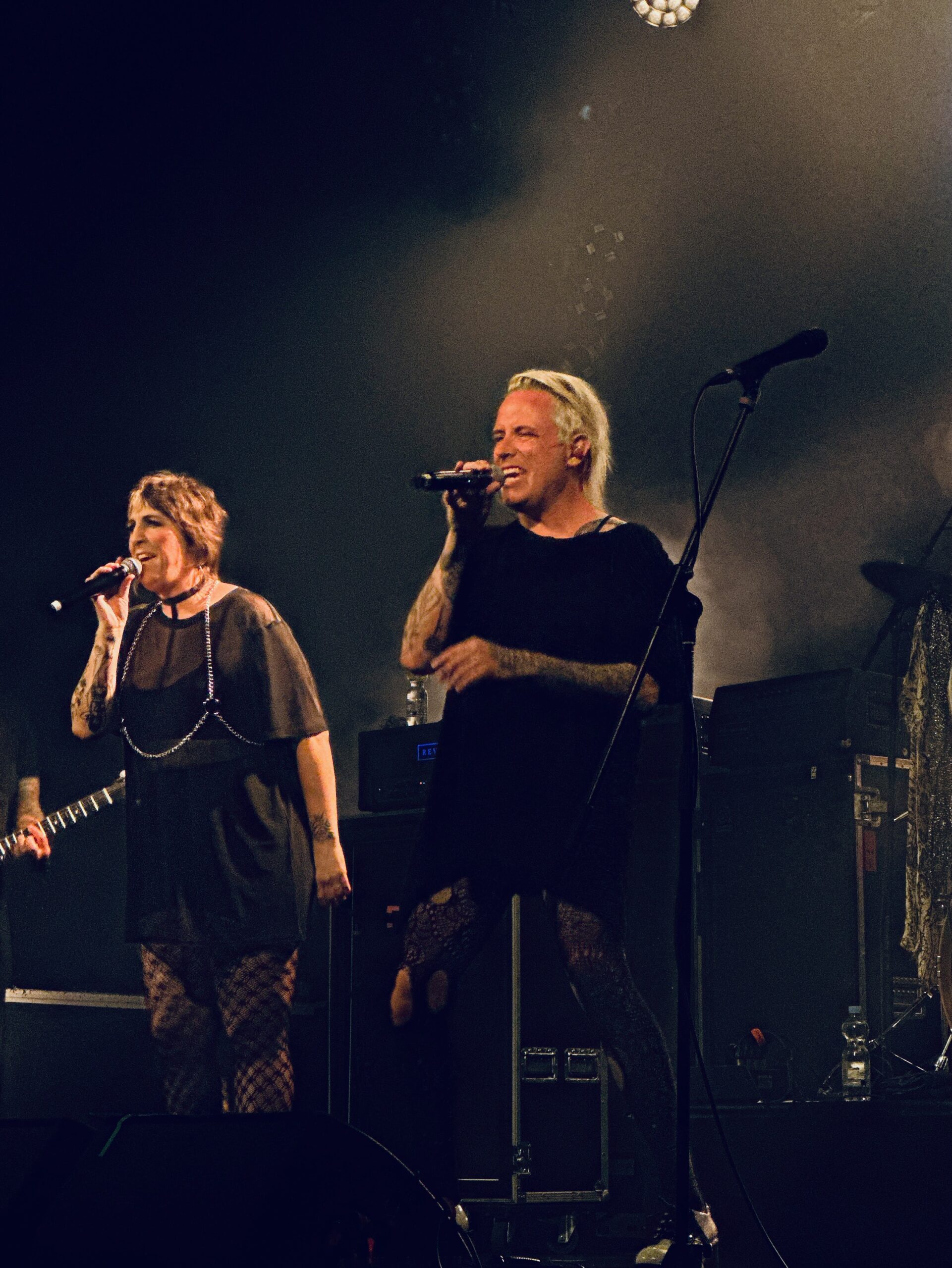 Reconstruction Tour - The Iron Roses