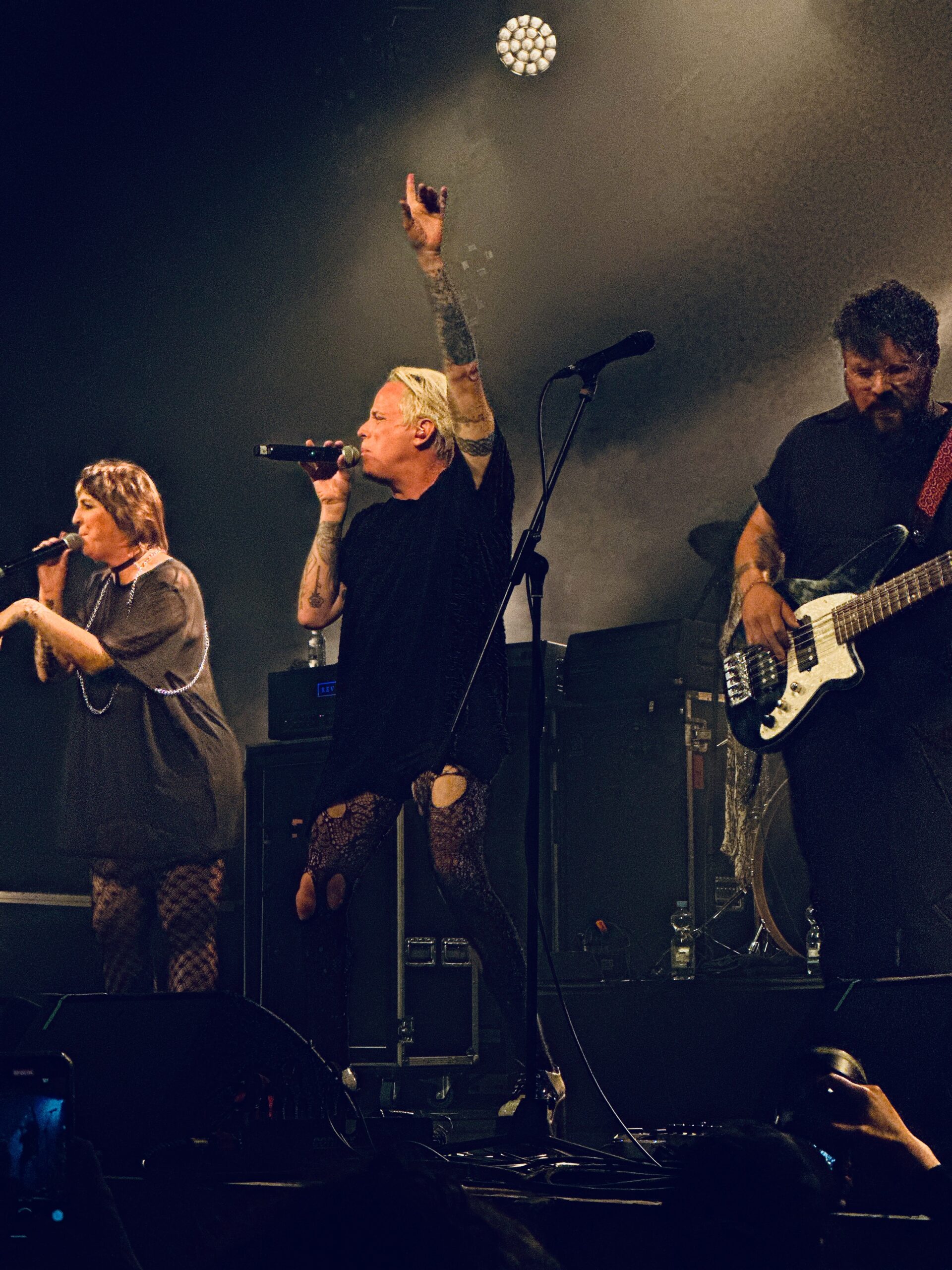 Reconstruction Tour - The Iron Roses