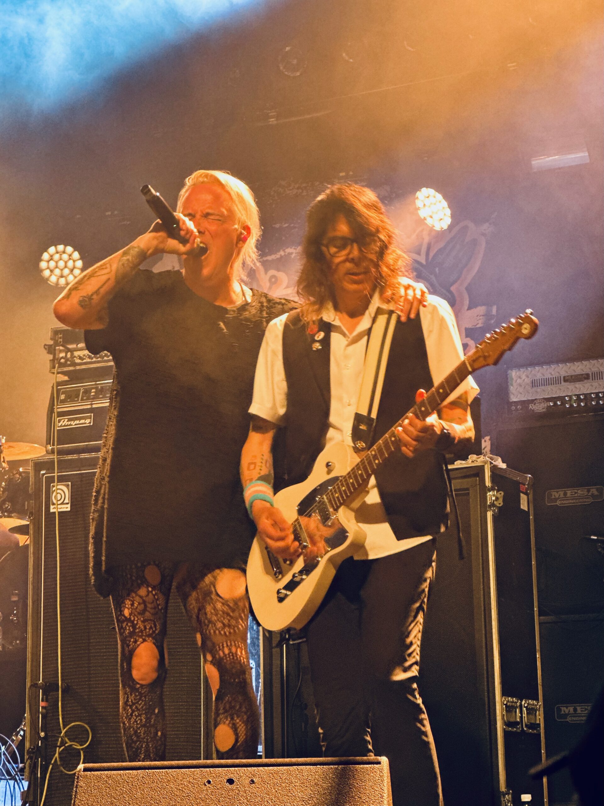 Reconstruction Tour - The Iron Roses