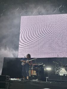 Idles Rock im Park