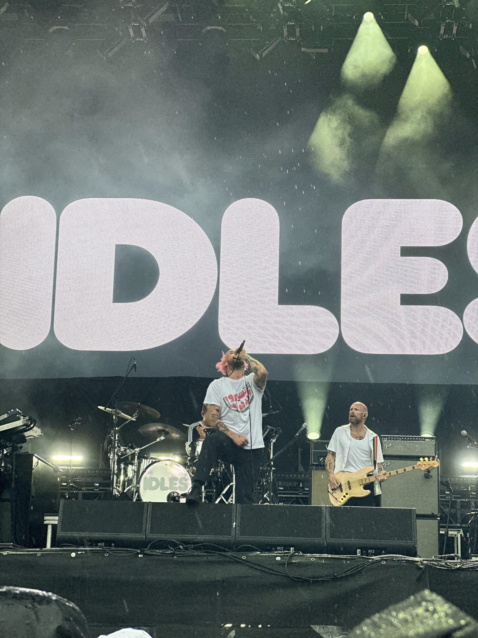 Idles Rock im Park