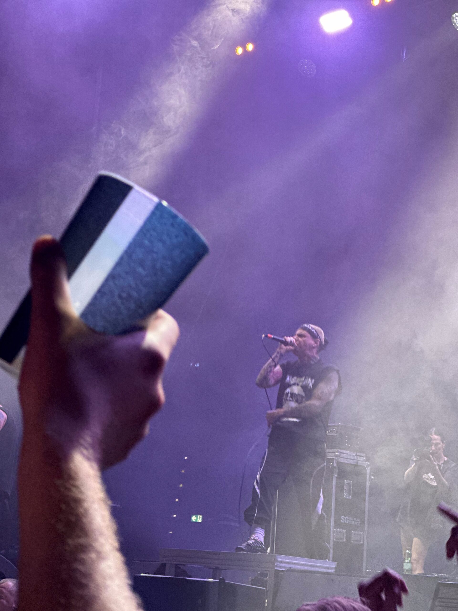 Stray from the Path Rock im Park