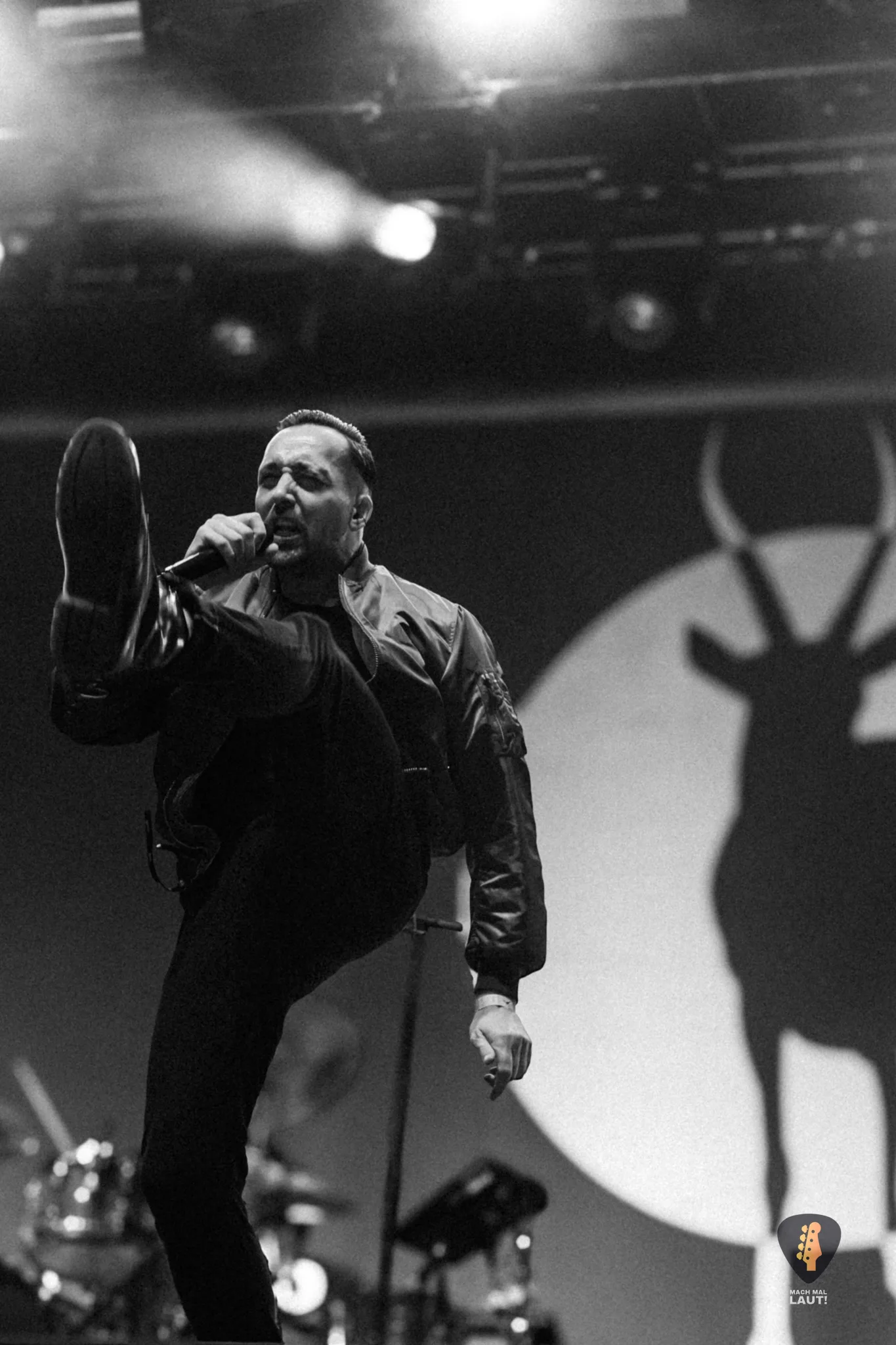 Ruhrpott Rodeo 2025 Antilopen Gang