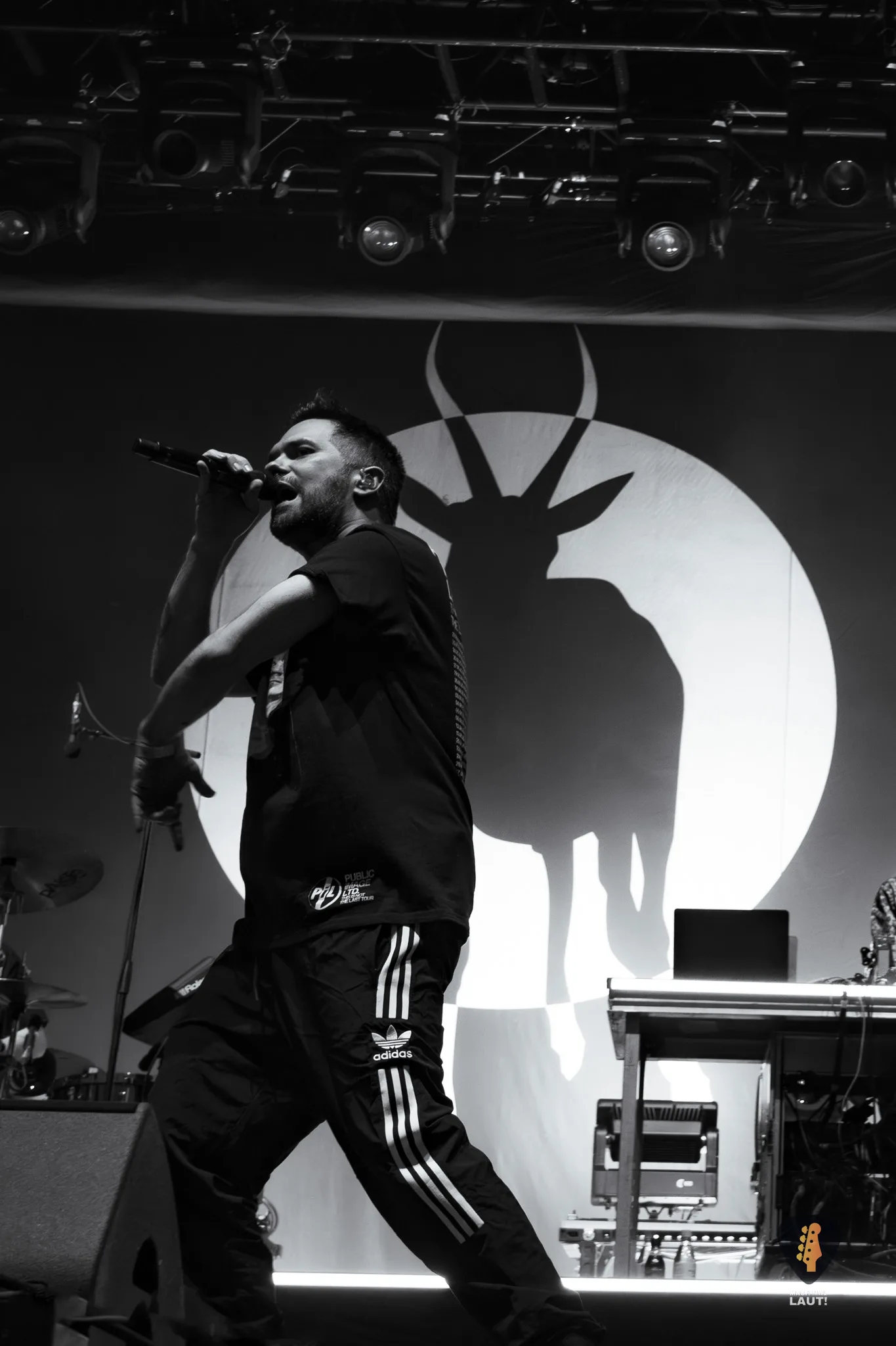 Ruhrpott Rodeo 2025 Antilopen Gang