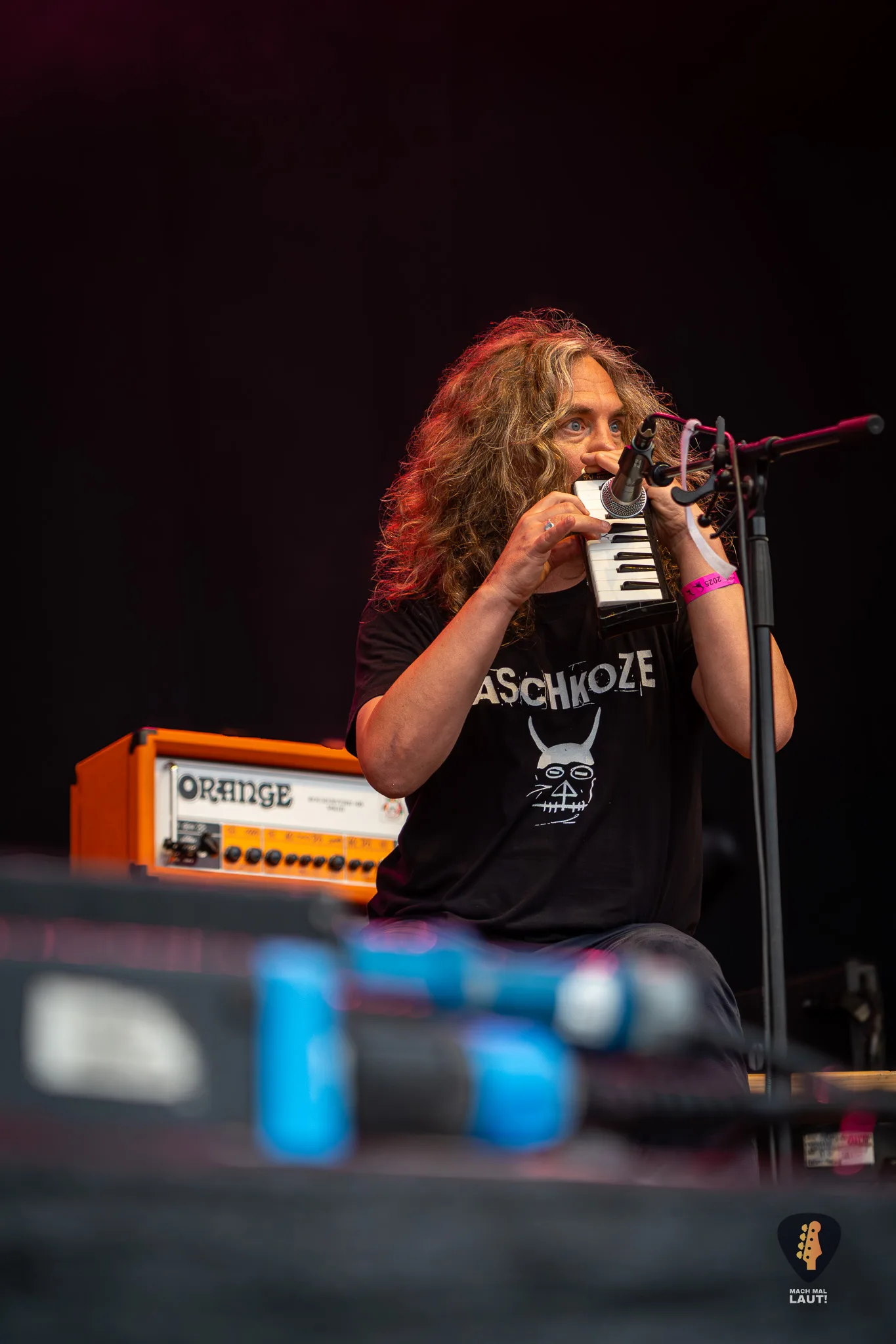 Ruhrpott Rodeo 2025 Monsters of Liedermaching