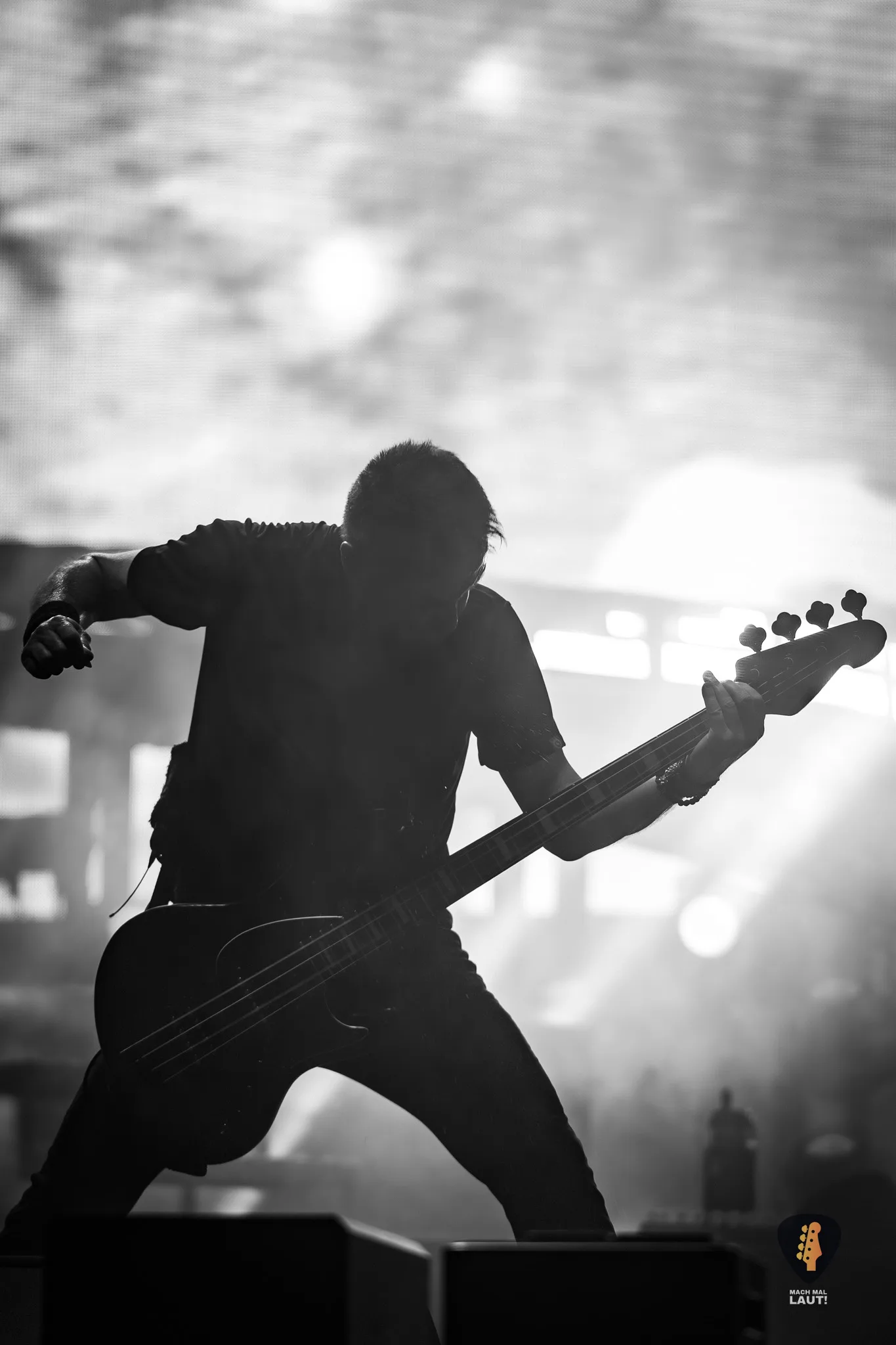 Reload Festival 2025 Gojira