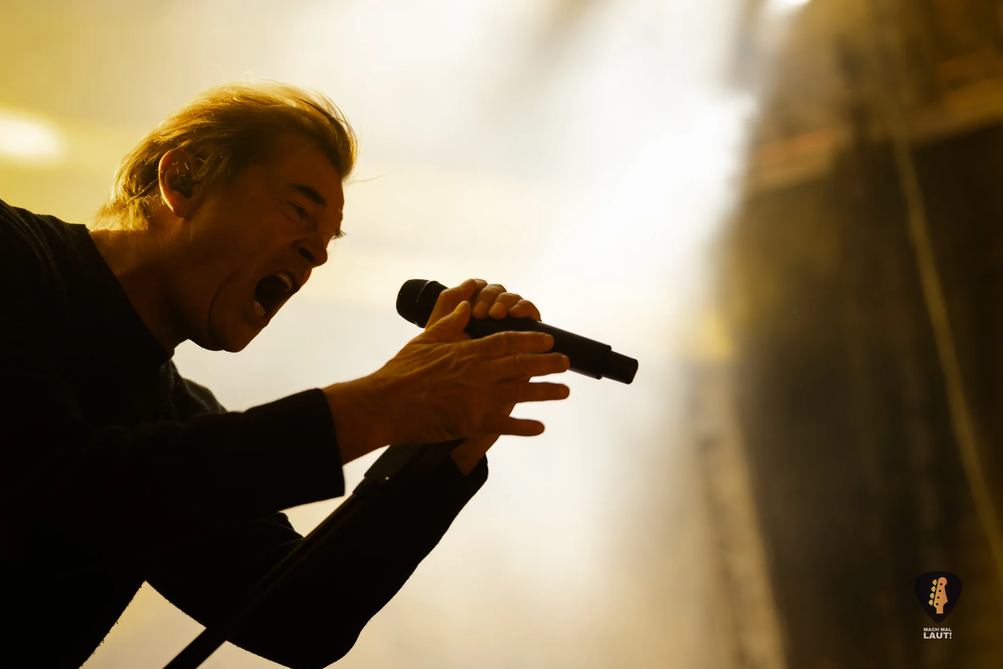 Jamel rockt den Förster 2025 Die Toten Hosen