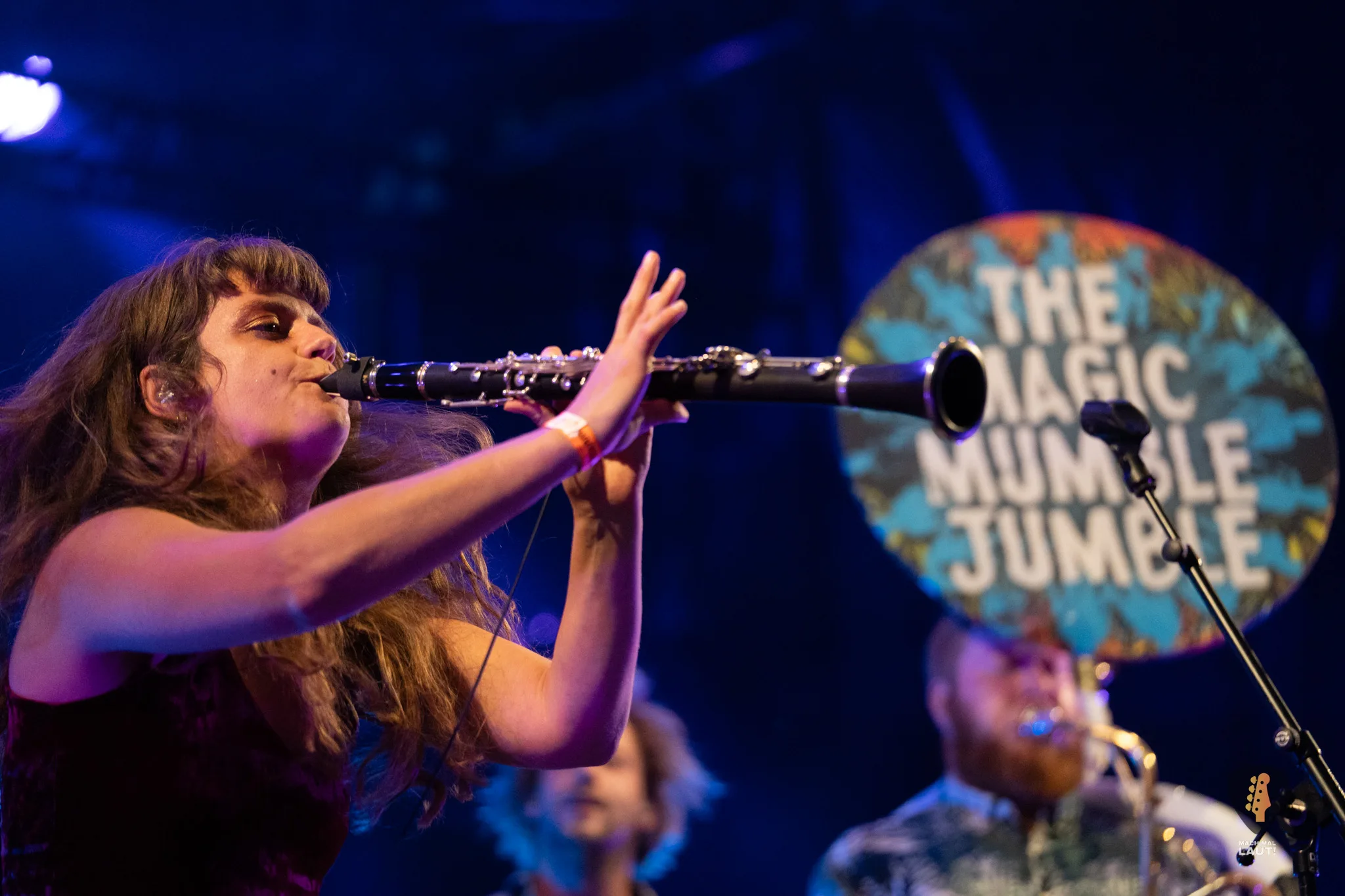 Wutzrock Festival 2025 The Magic Mumble Jumble