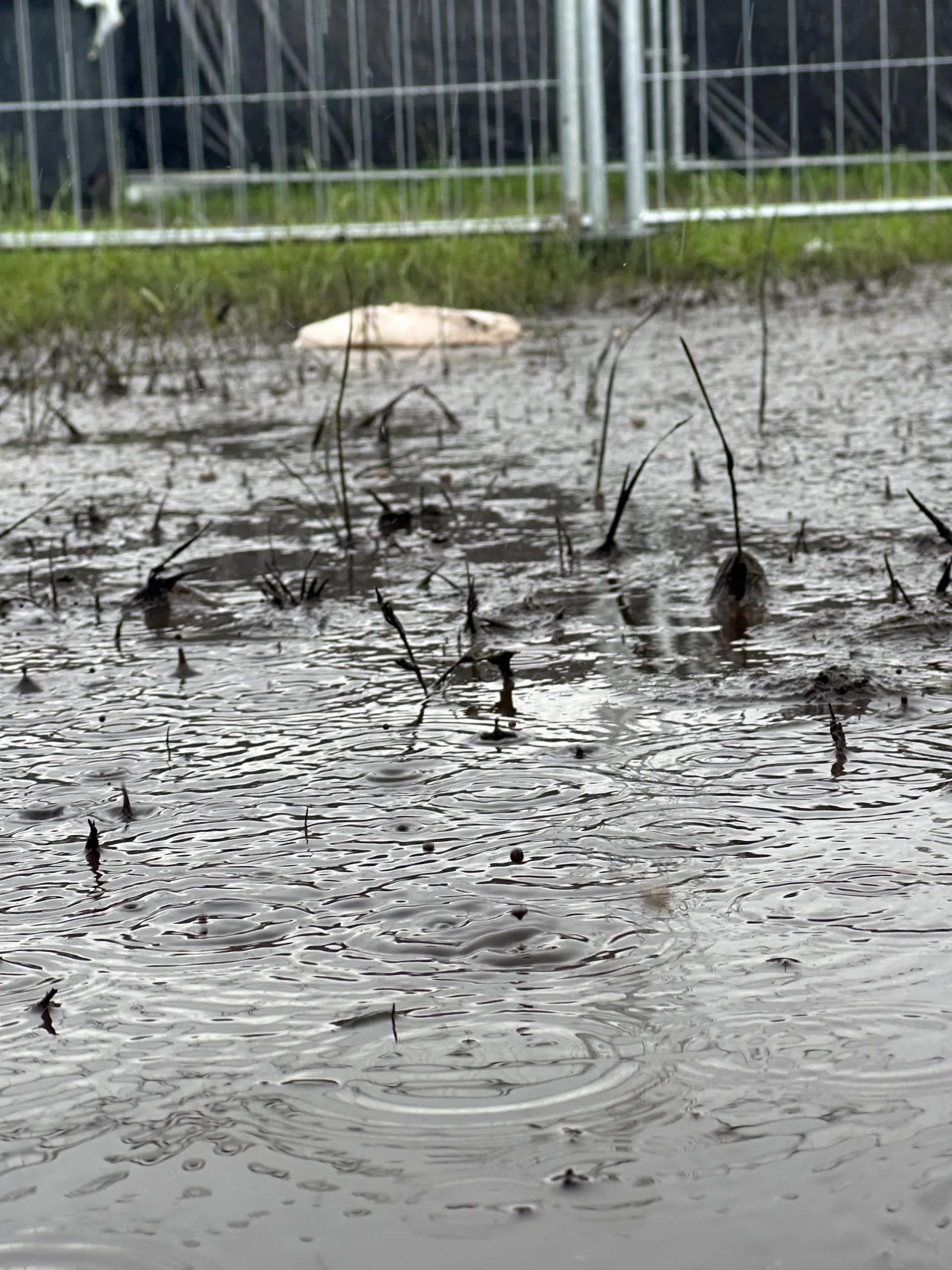 Wacken Open Air 2025