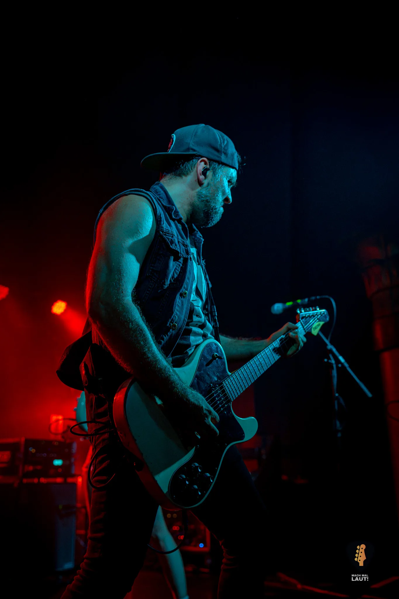 Igel vs Shark Hamburg