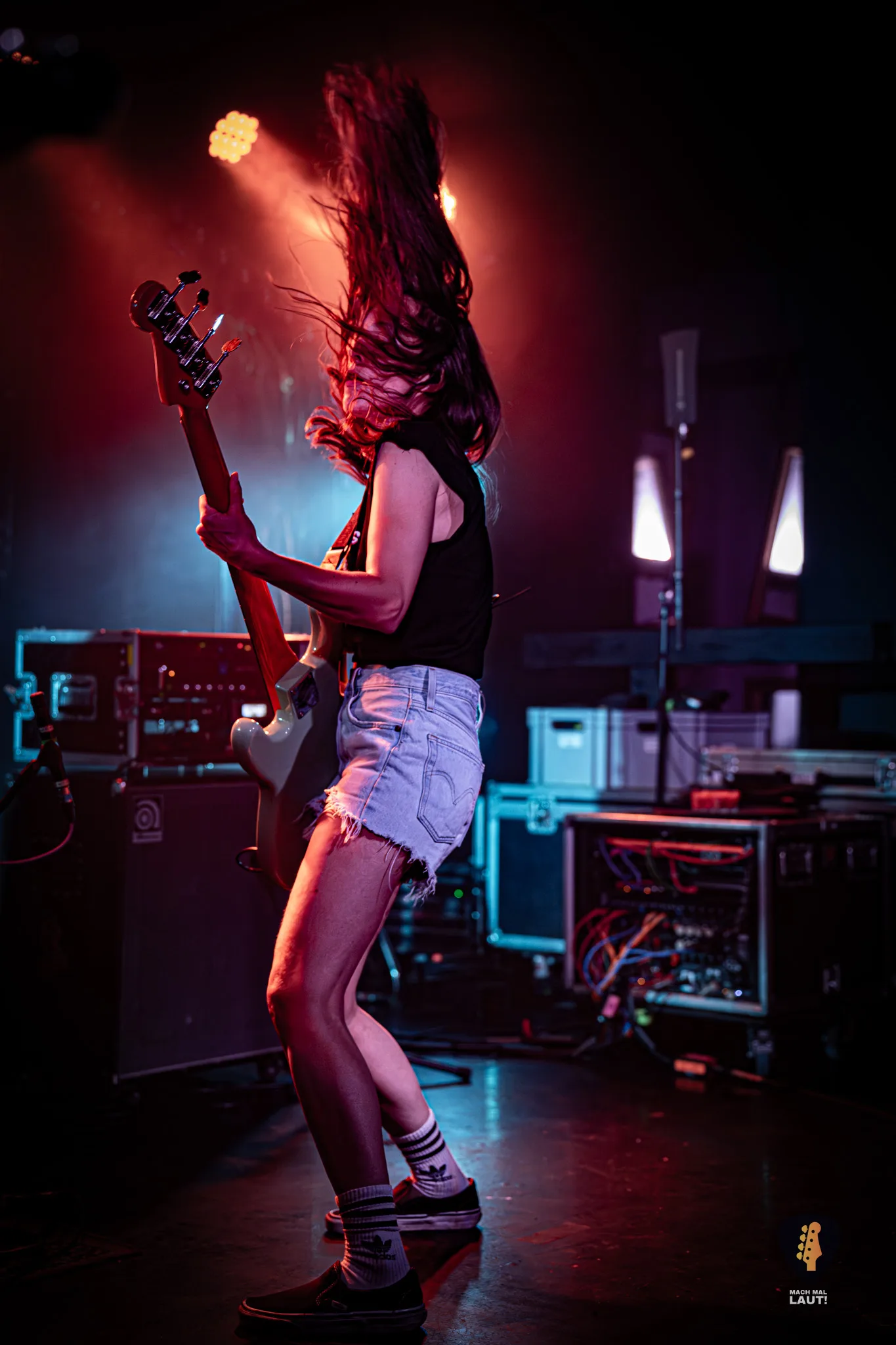 Igel vs Shark Hamburg