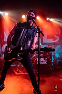 Igel vs Shark Hamburg