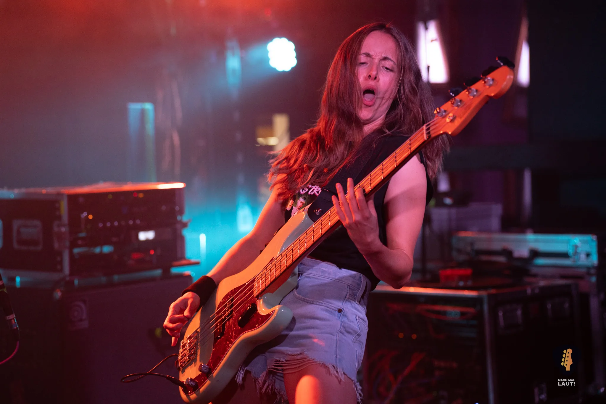 Igel vs Shark Hamburg