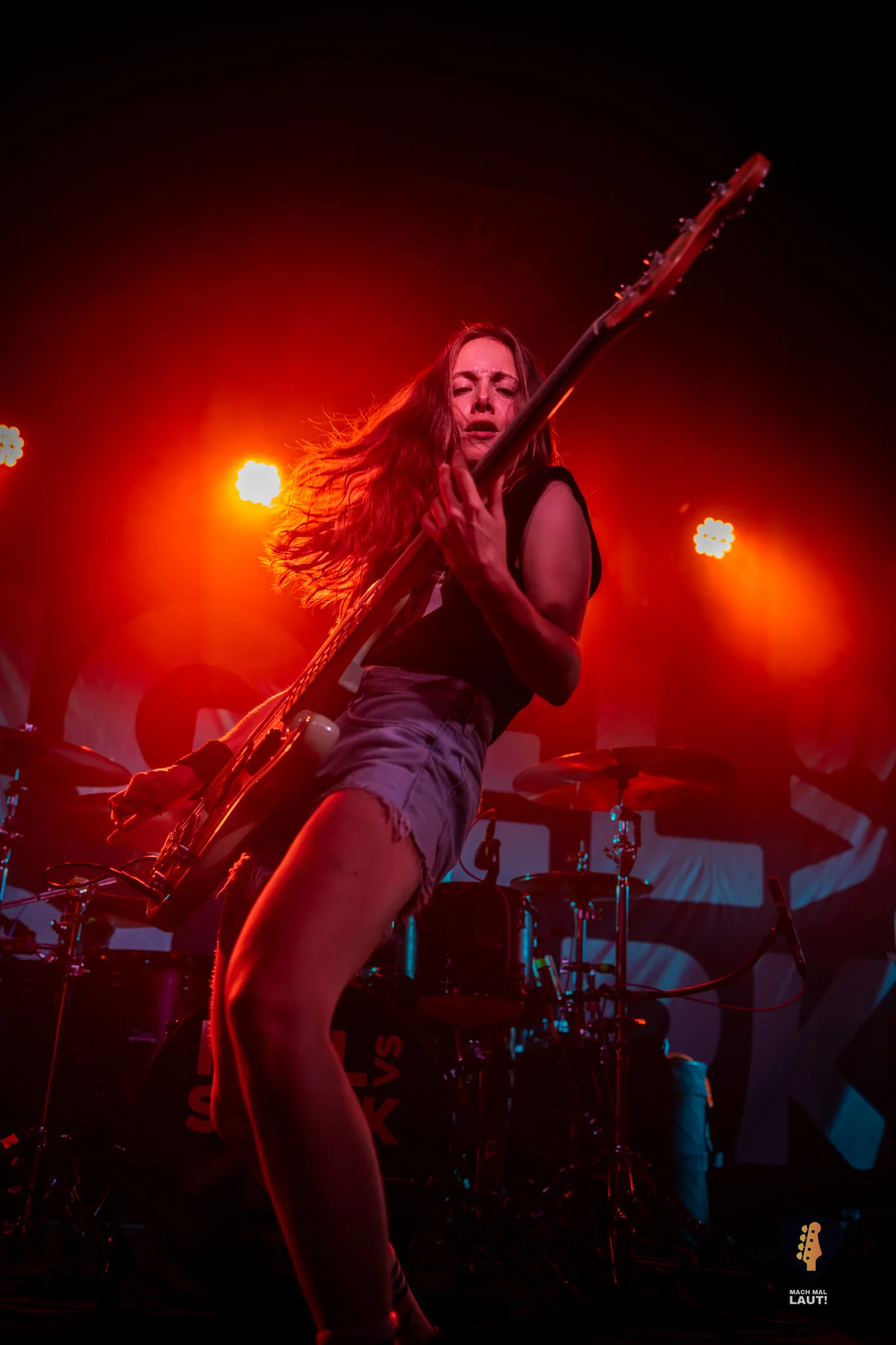 Igel vs Shark Hamburg