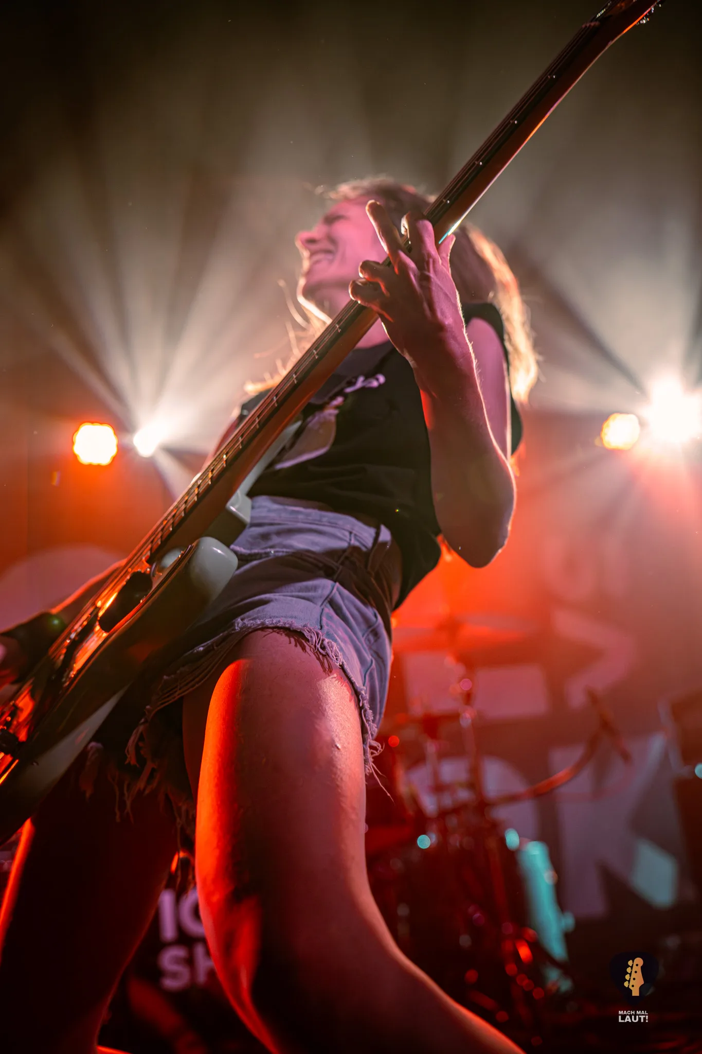 Igel vs Shark Hamburg