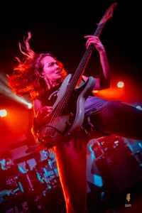 Igel vs Shark Hamburg