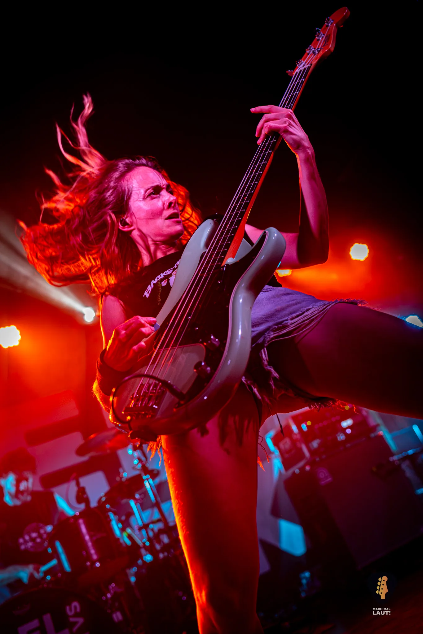 Igel vs Shark Hamburg