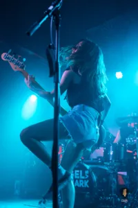 Igel vs Shark Hamburg