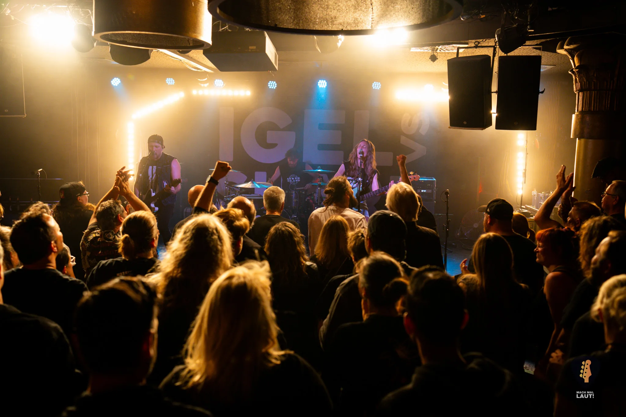 Igel vs Shark Hamburg