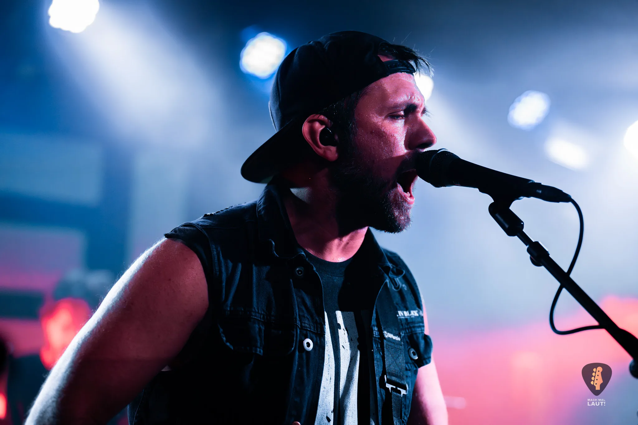 Igel vs Shark Hamburg