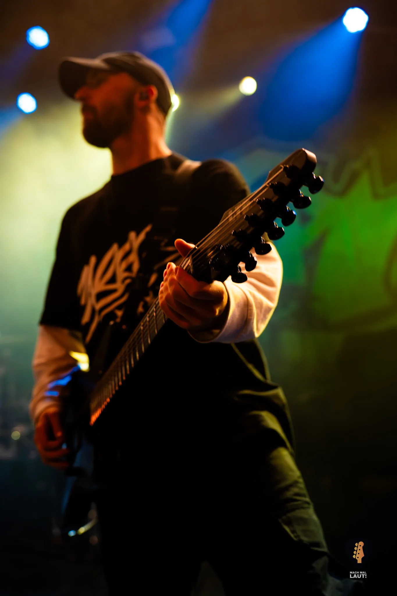 Alpha Wolf Hamburg 2025