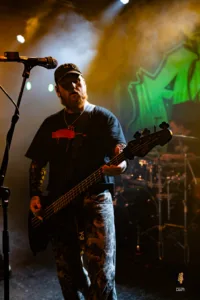 Alpha Wolf Hamburg 2025