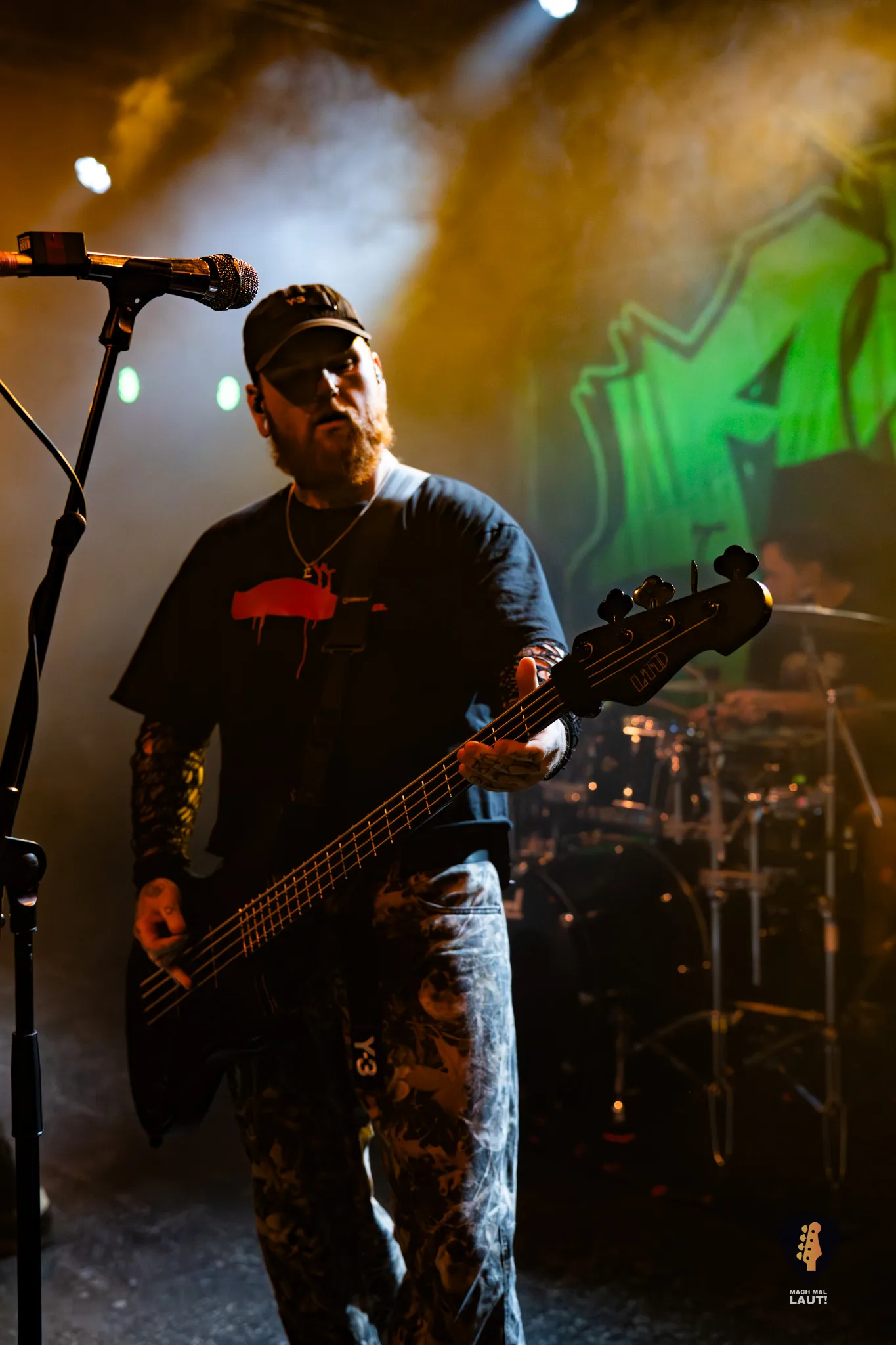 Alpha Wolf Hamburg 2025