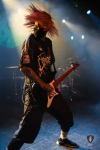 Alpha Wolf Hamburg 2025