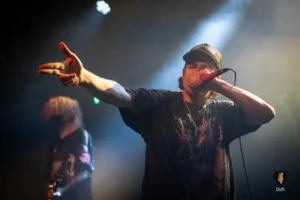 Alpha Wolf Hamburg 2025