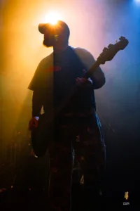 Alpha Wolf Hamburg 2025