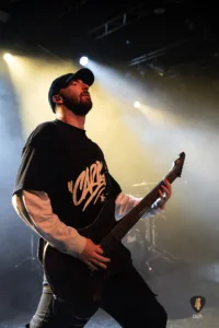 Alpha Wolf Hamburg 2025