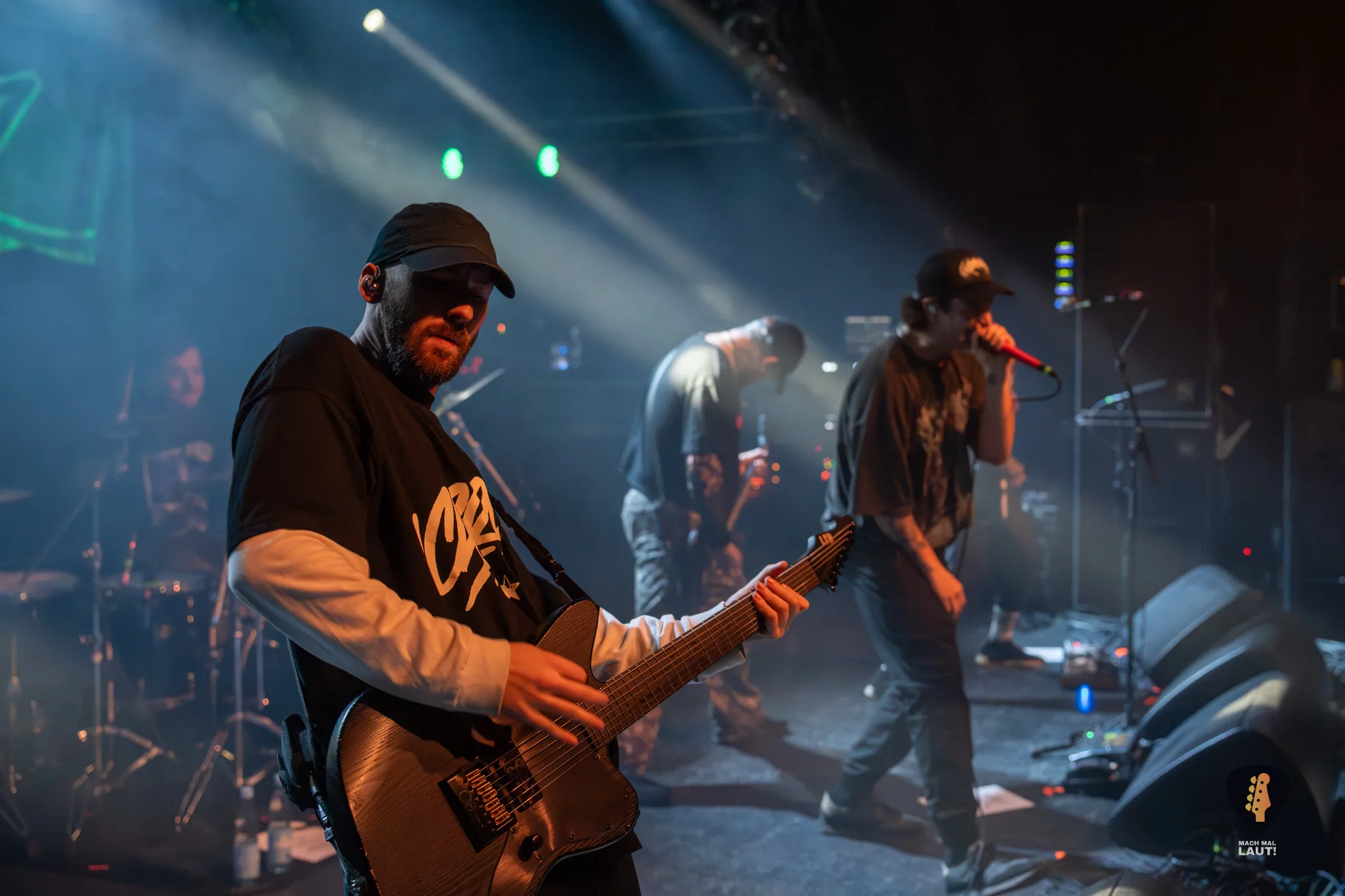 Alpha Wolf Hamburg 2025