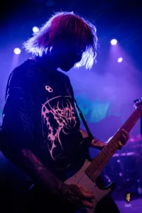 Alpha Wolf Hamburg 2025