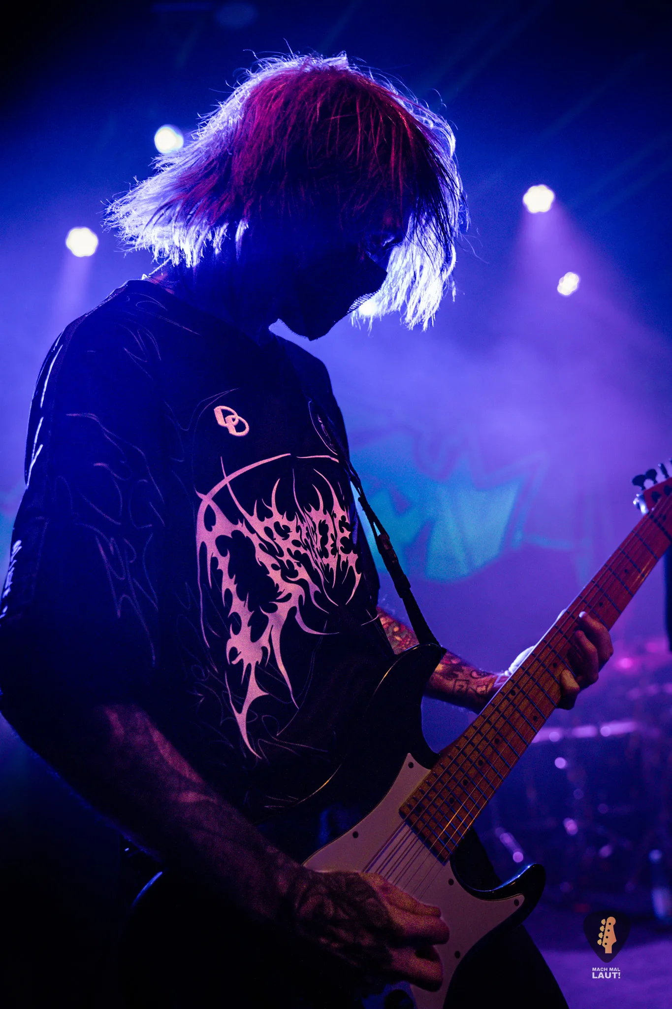 Alpha Wolf Hamburg 2025