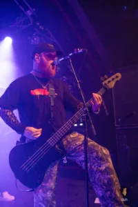 Alpha Wolf Hamburg 2025