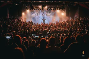 Alpha Wolf Hamburg 2025