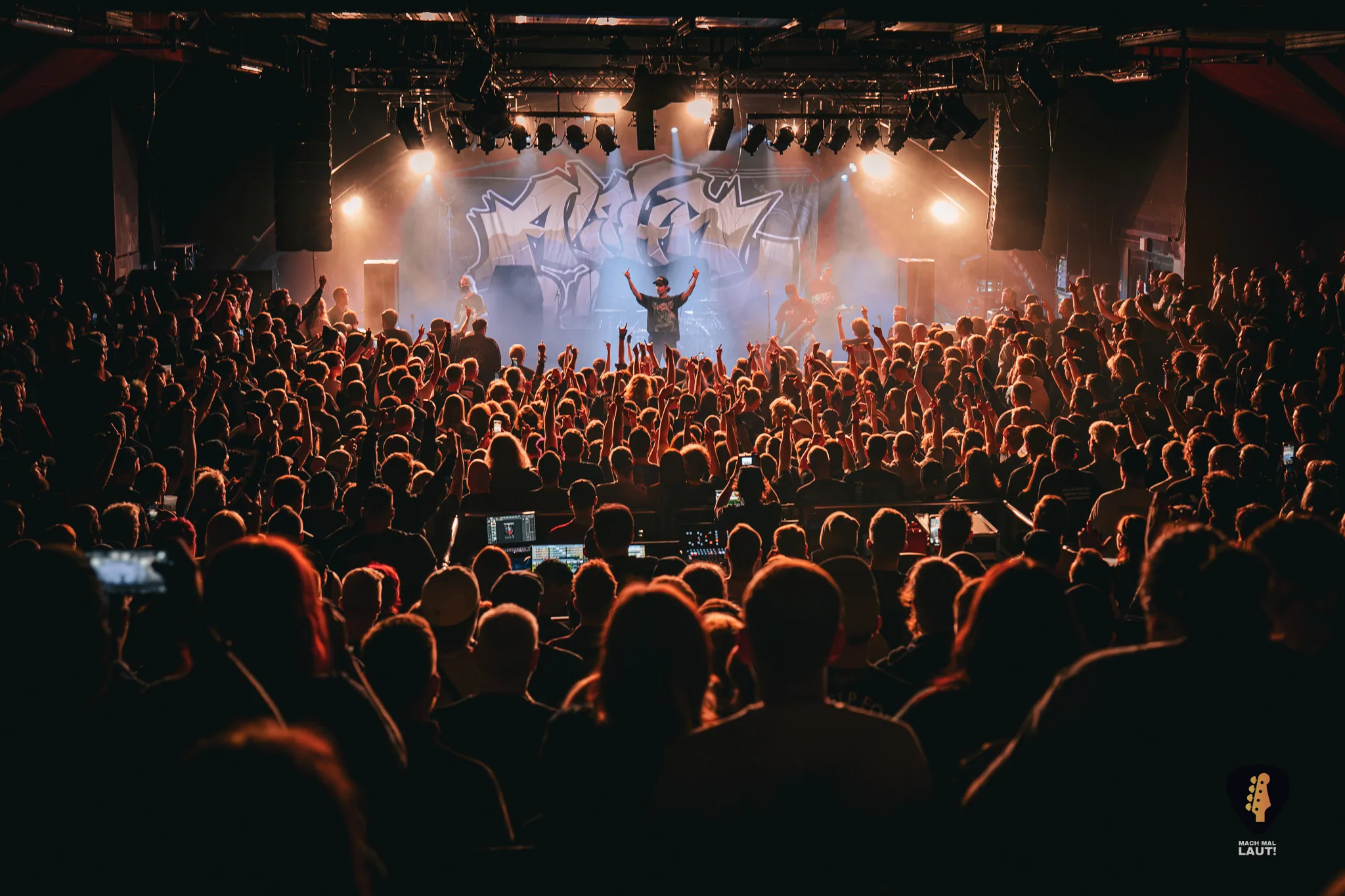 Alpha Wolf Hamburg 2025