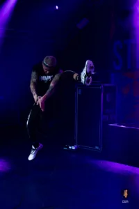 Stray from the Path Hamburg 2025