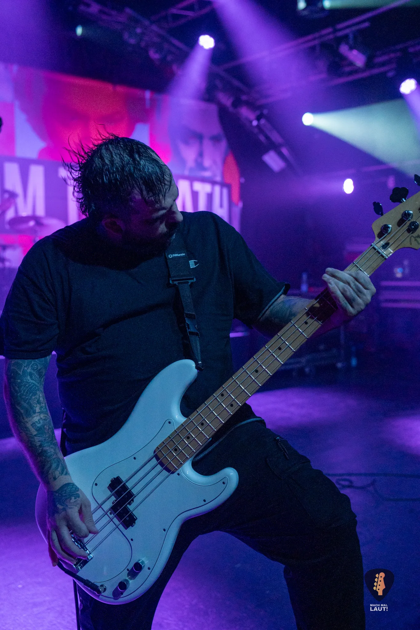 Stray from the Path Hamburg 2025