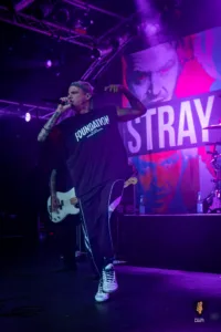 Stray from the Path Hamburg 2025