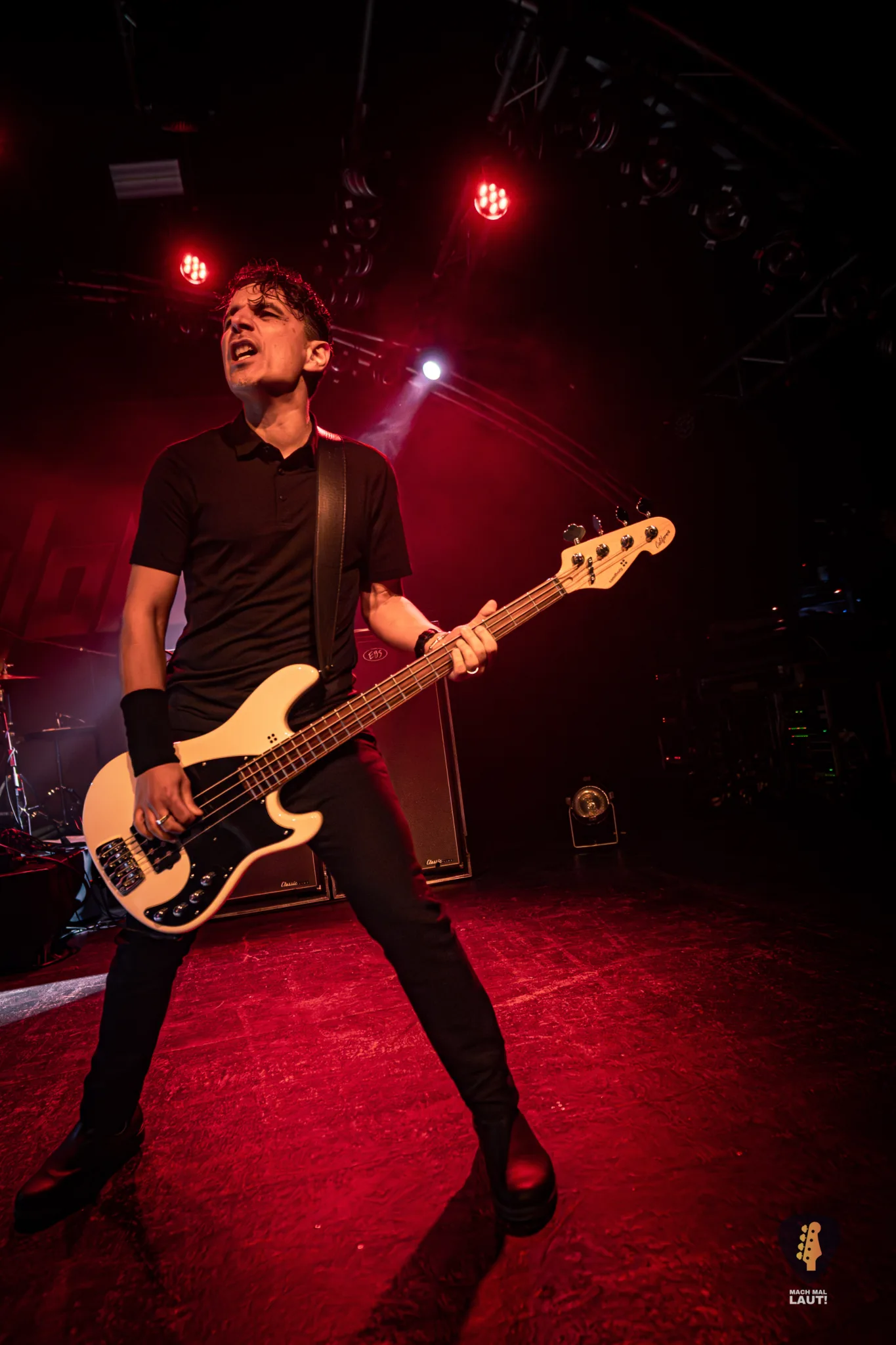 Danko Jones Hamburg 2025