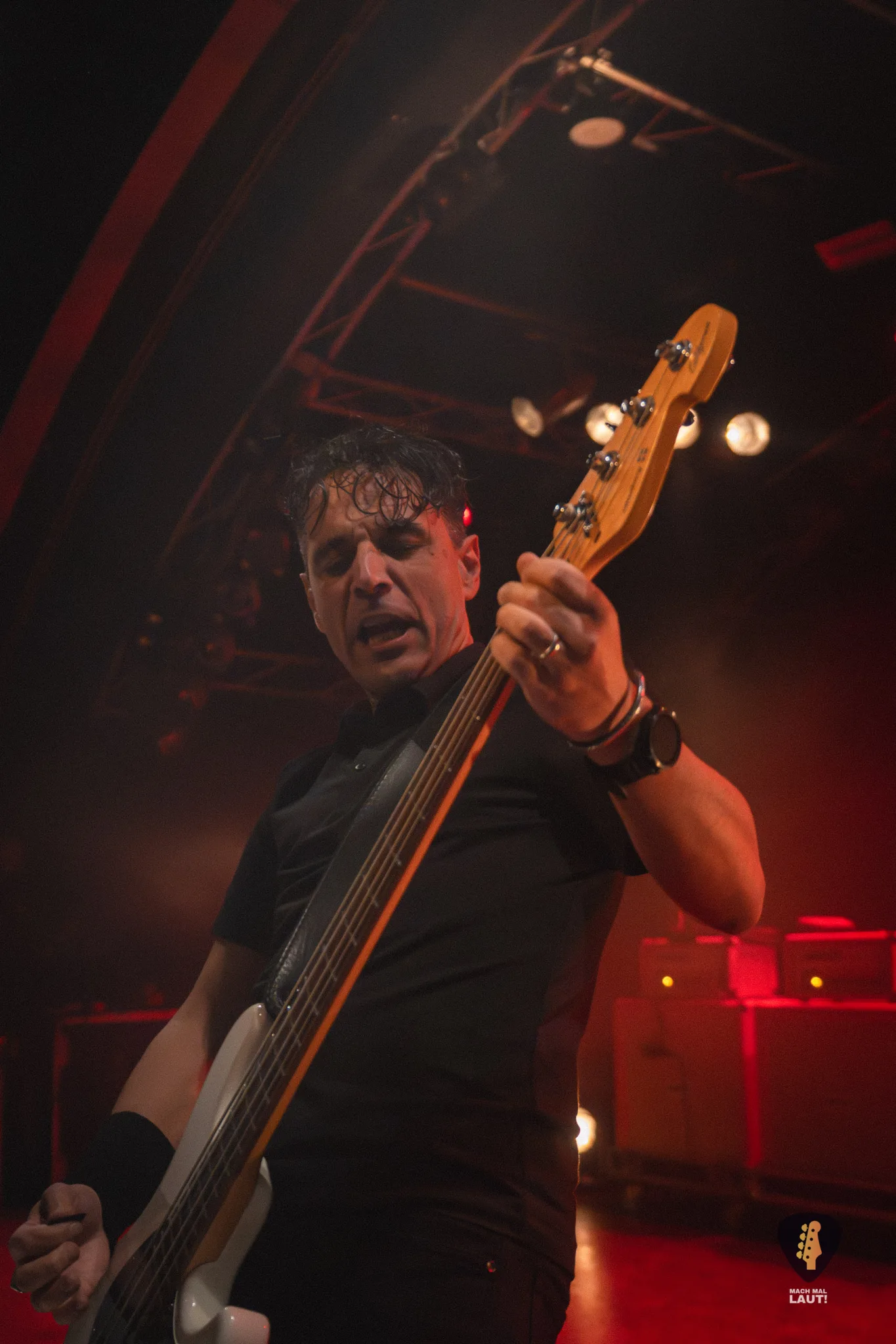 Danko Jones Hamburg 2025