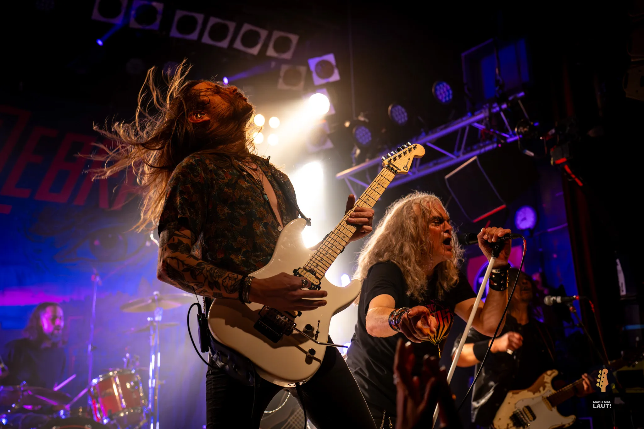 King Zebra Hamburg 2026