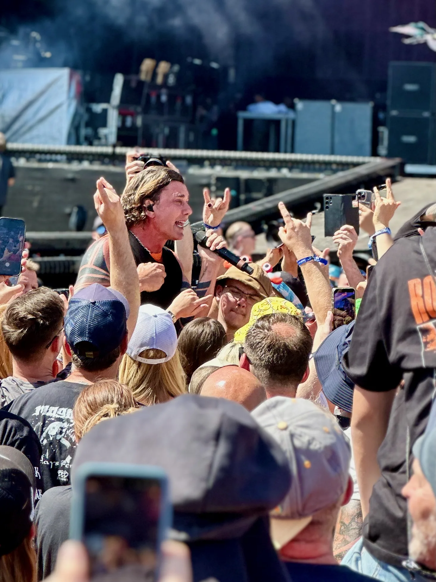 Bush Rock im Park 2026