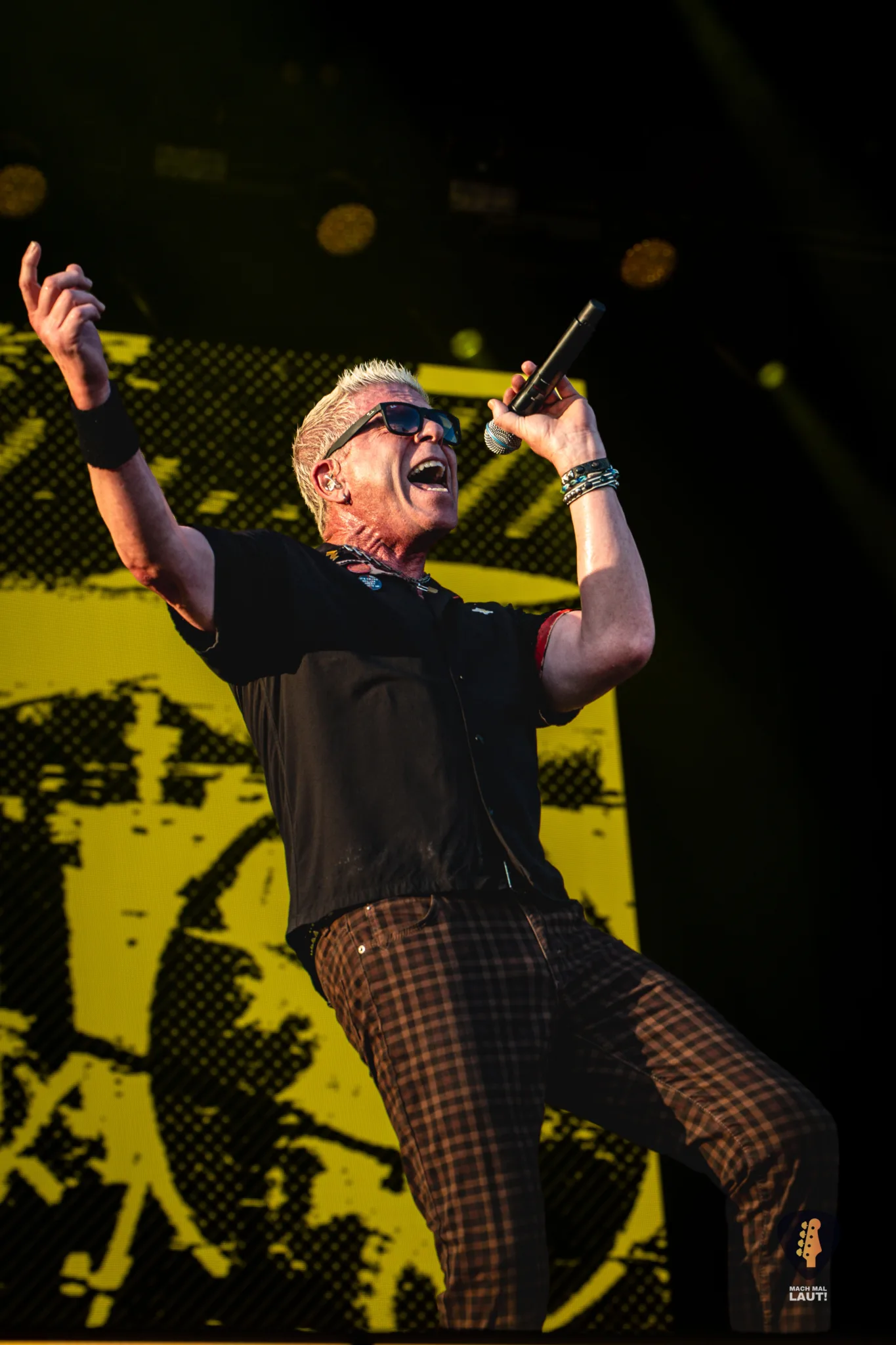 The Offspring Hurricane Festival 2026 10