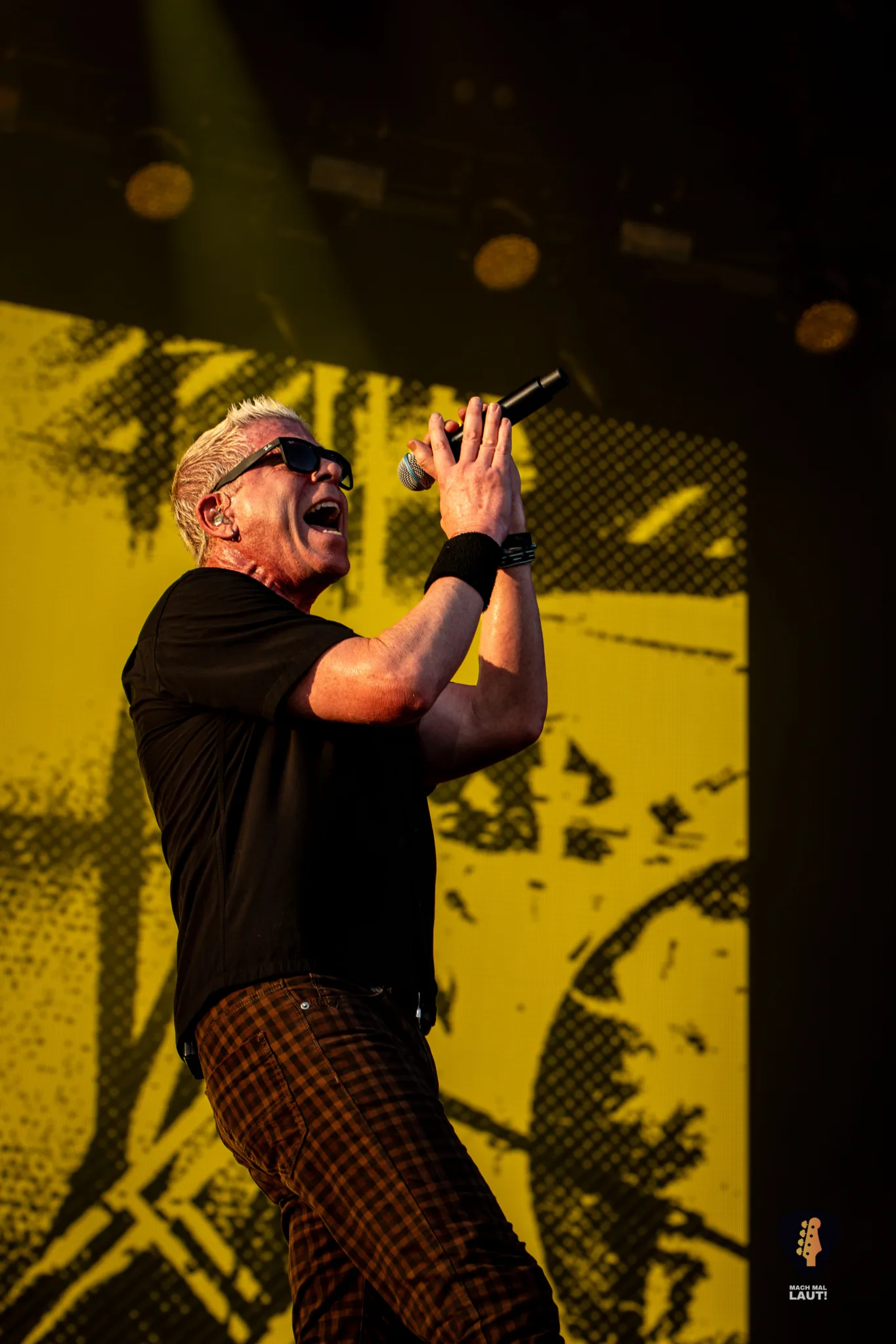 The Offspring Hurricane Festival 2026 11