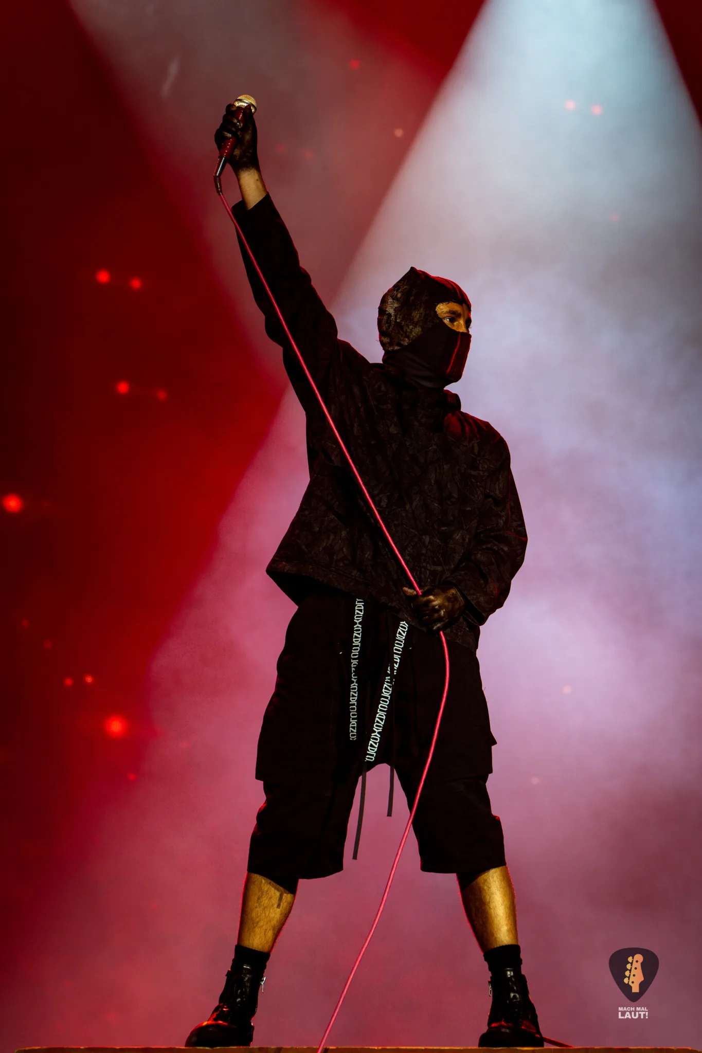 Twenty One Pilots Hurricane 2026 11